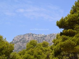 Valle de Leiva-Perdiz 2010